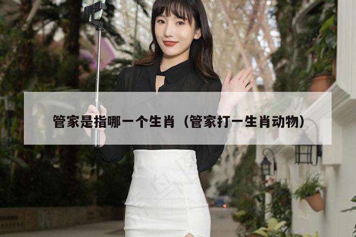 管家是指哪一个生肖（管家打一生肖动物）