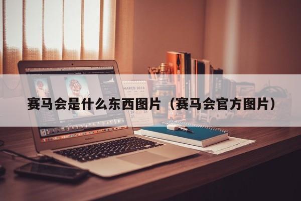 赛马会是什么东西图片（赛马会官方图片）
